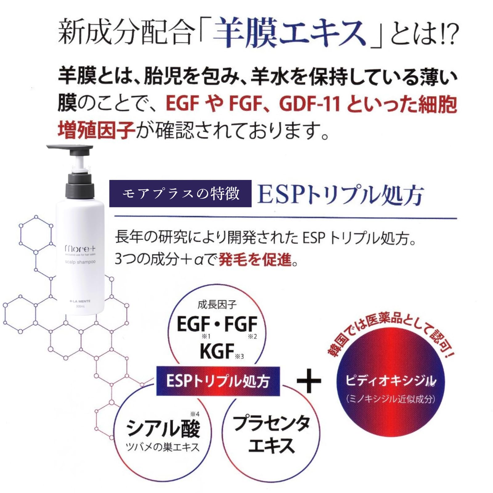 Amazon | モアプラス スカルプシャンプー2個セット （300ml×2個